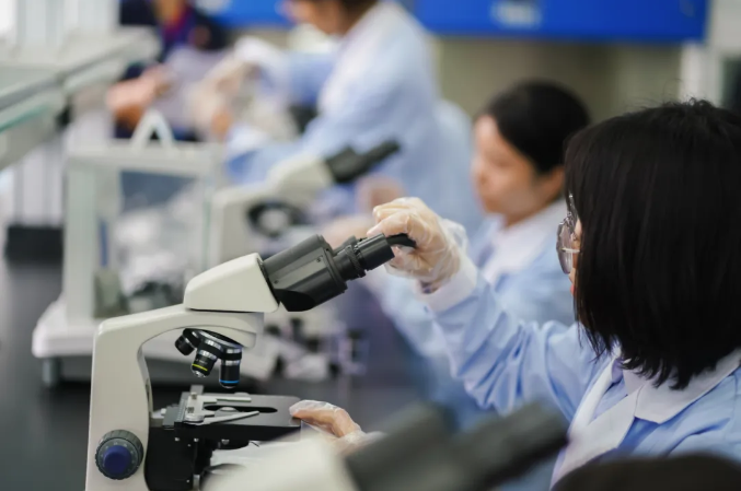 1718250523521028.png image.png