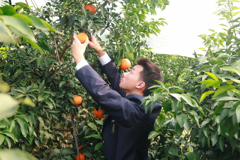 1765472636105612.jpg 微信圖片_2025-12-12_010153_544~1.jpg